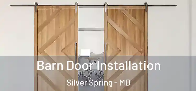  Barn Door Installation Silver Spring - MD