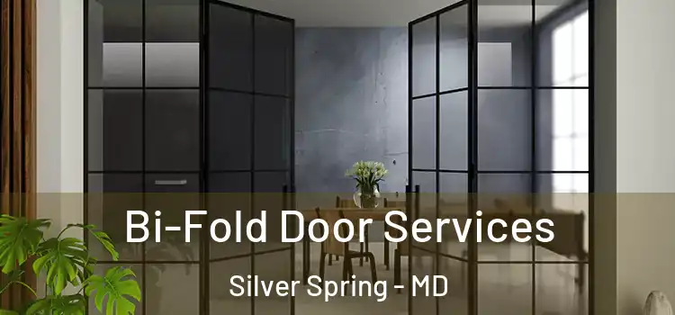  Bi-Fold Door Services Silver Spring - MD