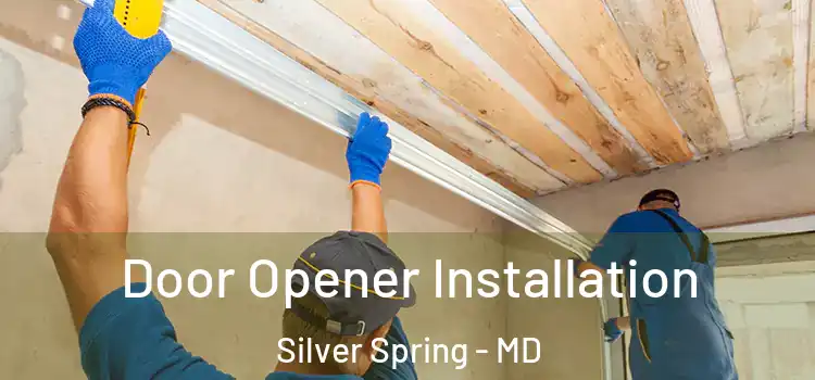Door Opener Installation Silver Spring - MD