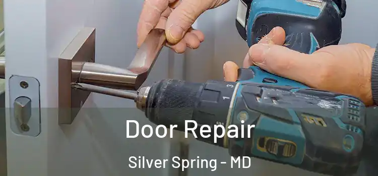 Door Repair Silver Spring - MD