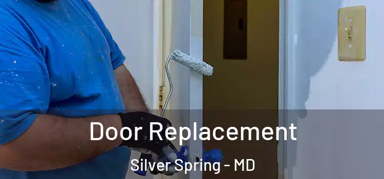 Door Replacement Silver Spring - MD