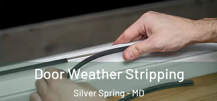 Door Weather Stripping Silver Spring - MD
