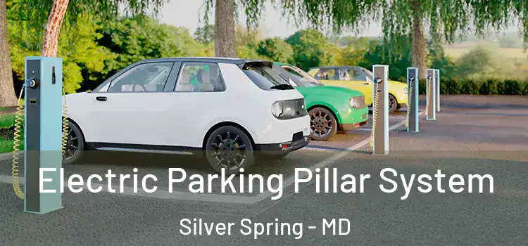 Electric Parking Pillar System Silver Spring - MD