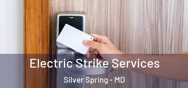  Electric Strike Services Silver Spring - MD