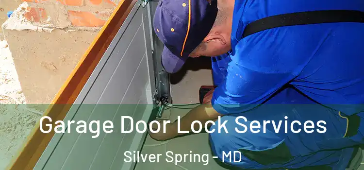  Garage Door Lock Services Silver Spring - MD