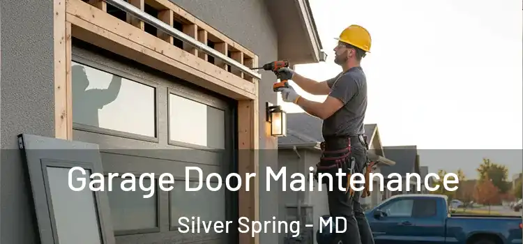 Garage Door Maintenance Silver Spring - MD