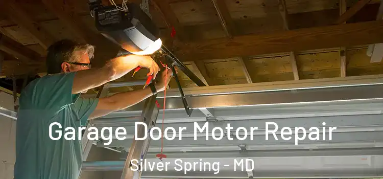  Garage Door Motor Repair Silver Spring - MD