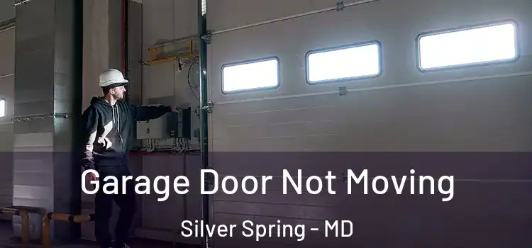  Garage Door Not Moving Silver Spring - MD