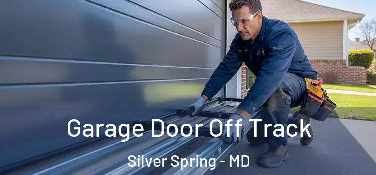  Garage Door Off Track Silver Spring - MD