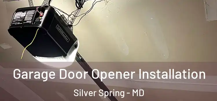  Garage Door Opener Installation Silver Spring - MD