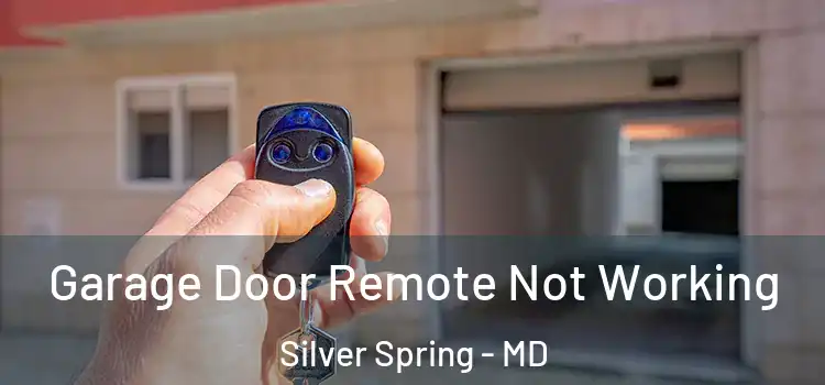  Garage Door Remote Not Working Silver Spring - MD
