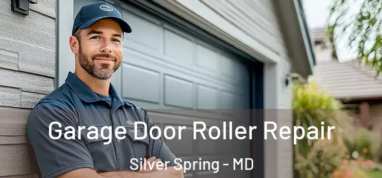  Garage Door Roller Repair Silver Spring - MD