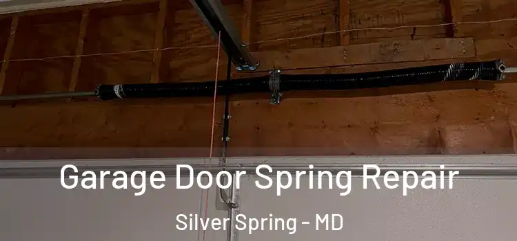 Garage Door Spring Repair Silver Spring - MD