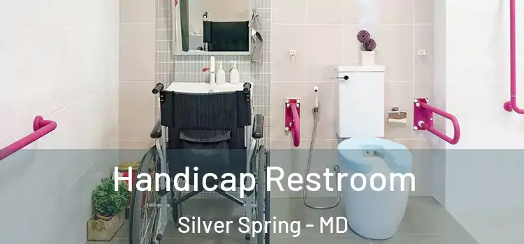 Handicap Restroom Silver Spring - MD