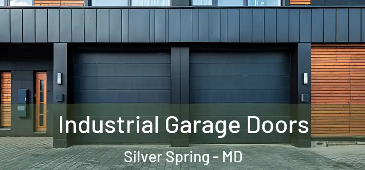  Industrial Garage Doors Silver Spring - MD