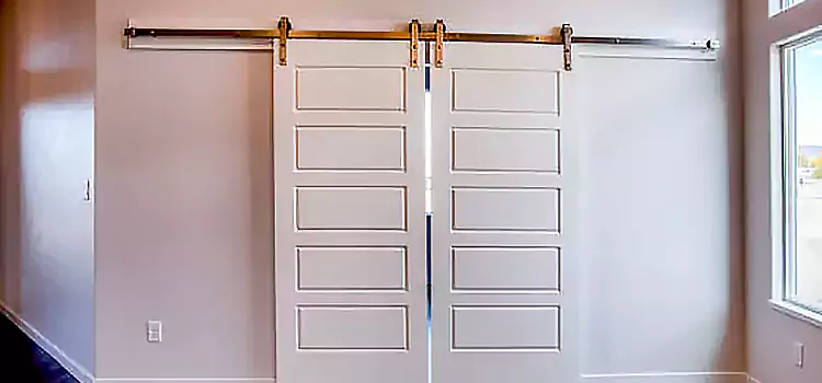 Glass Barn Door with Installation Hardware Kit Silver Spring