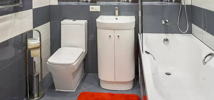 Hansgrohe Shaving Mirror Silver Spring
