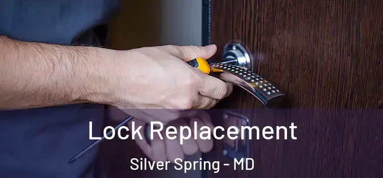 Lock Replacement Silver Spring - MD