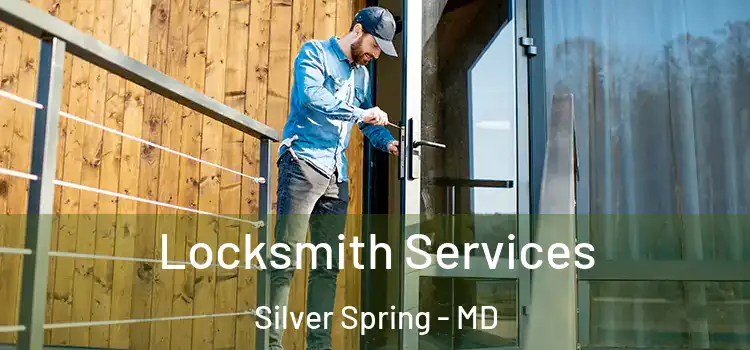 Locksmith Services Silver Spring - MD