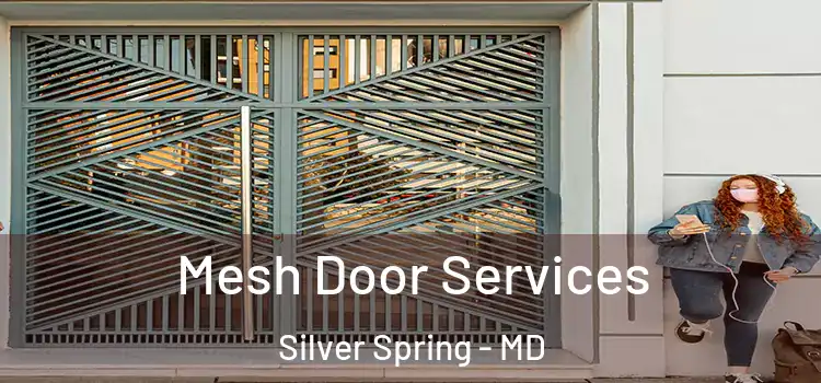  Mesh Door Services Silver Spring - MD