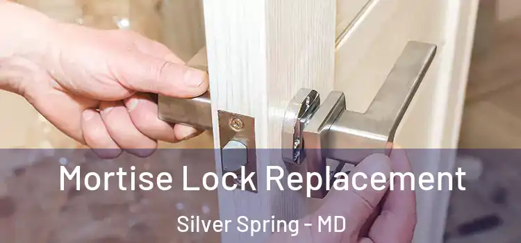 Mortise Lock Replacement Silver Spring - MD