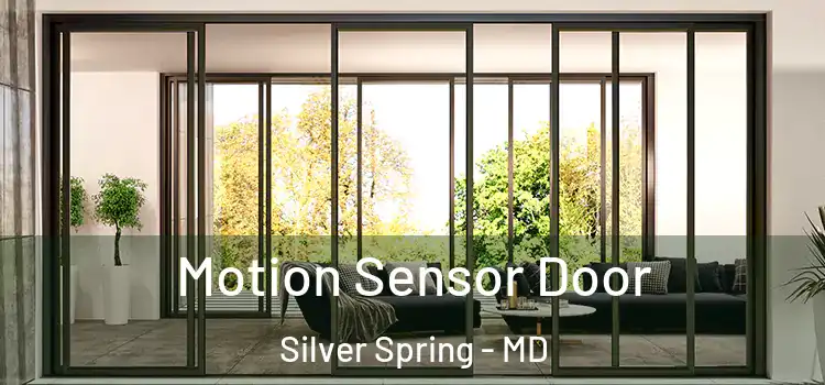 Motion Sensor Door Silver Spring - MD