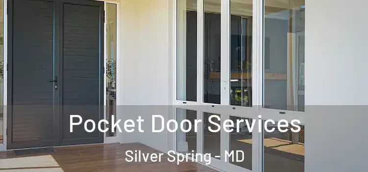  Pocket Door Services Silver Spring - MD