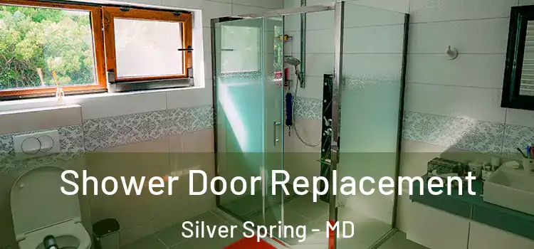 Shower Door Replacement Silver Spring - MD