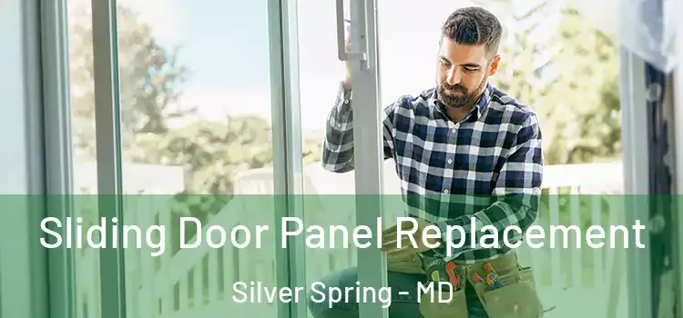 Sliding Door Panel Replacement Silver Spring - MD