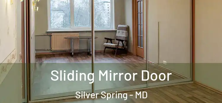  Sliding Mirror Door Silver Spring - MD