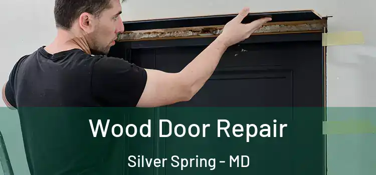 Wood Door Repair Silver Spring - MD